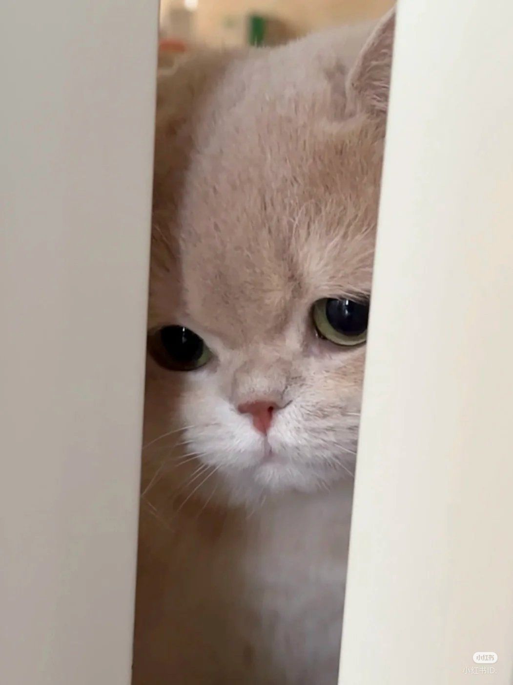 CHÚ NHỎ LÀ CHA ĐỨA BÉ