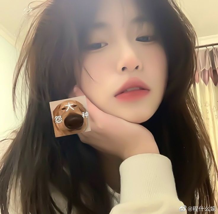Nỗi Oan Của Công Chúa