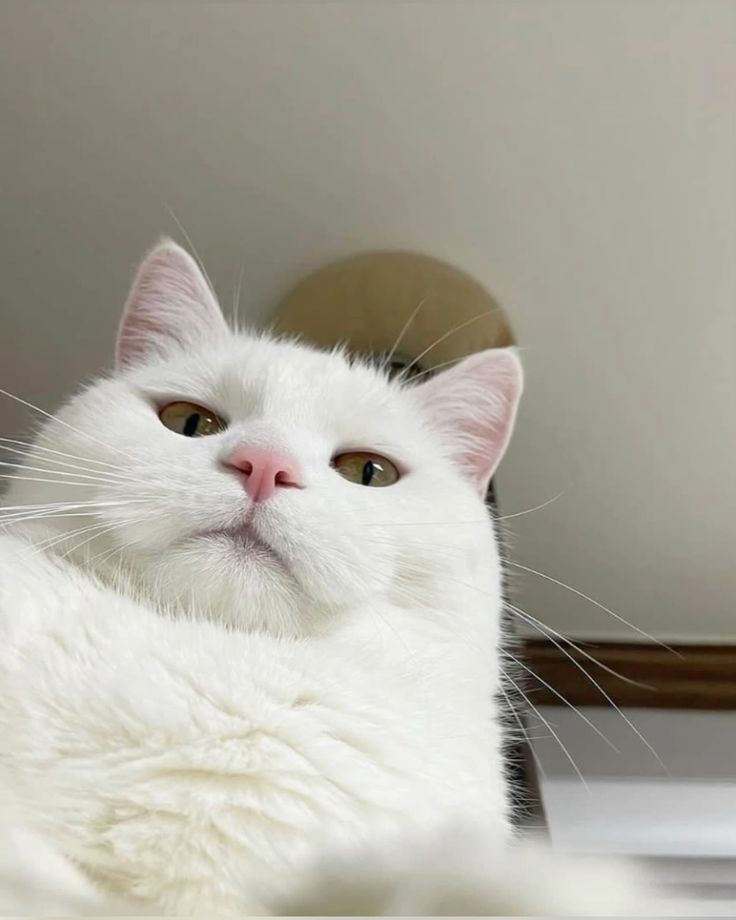 Cho đến khi tôi rời đi