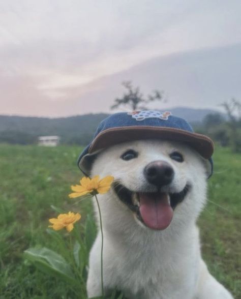 Ông Nội Chồng Tặng Tôi Một Cuộc Hôn Nhân