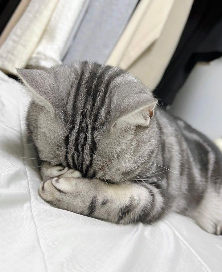 NỐI LẠI TÌNH ĐẦU