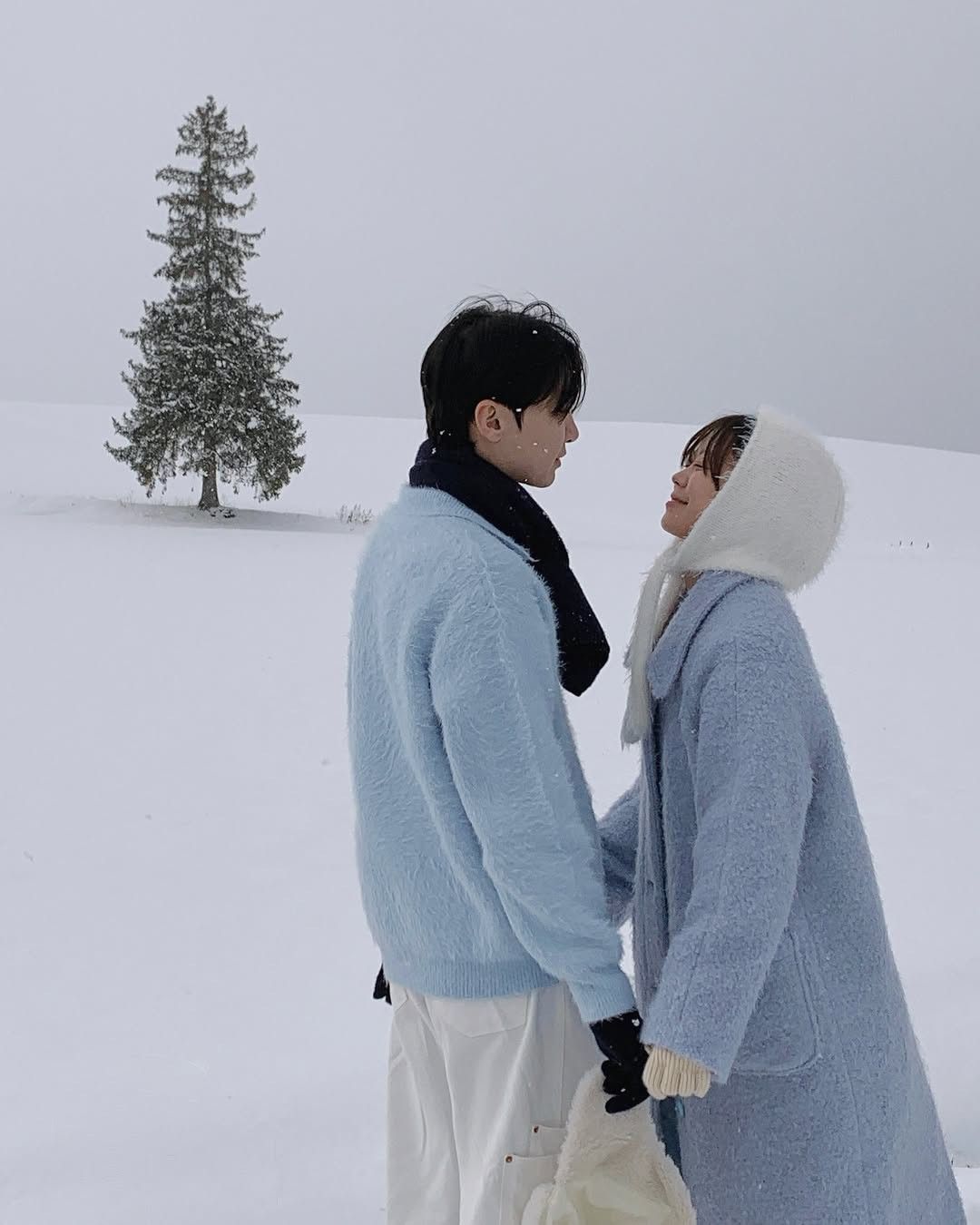 CHIM HOÀNG YẾN BẠO LOẠN