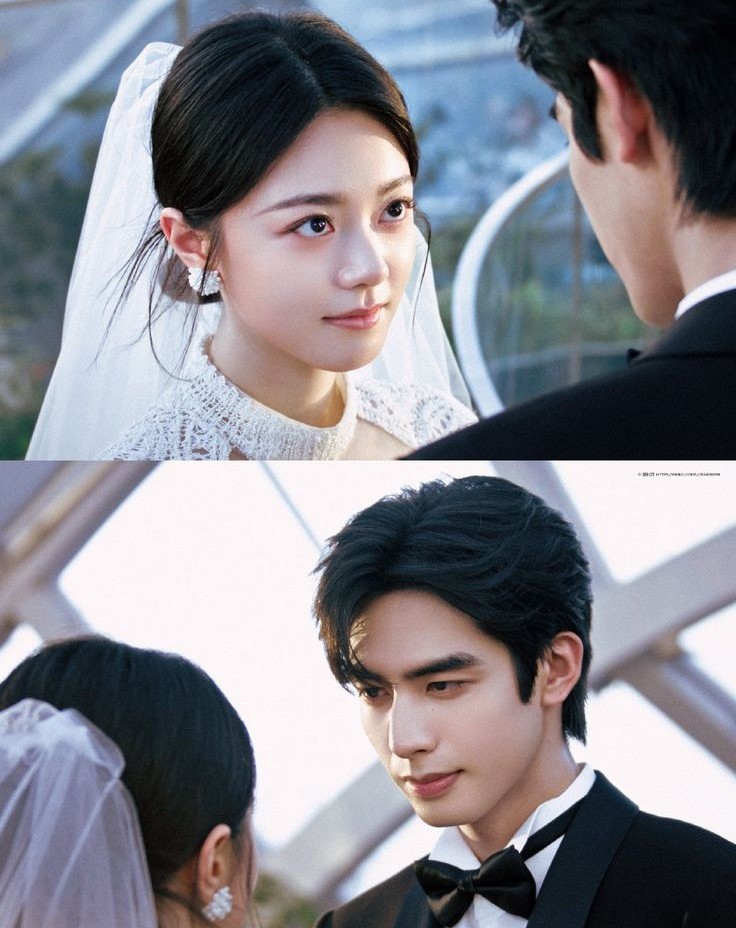 Vợ Yêu Không Nhận Ra Tôi