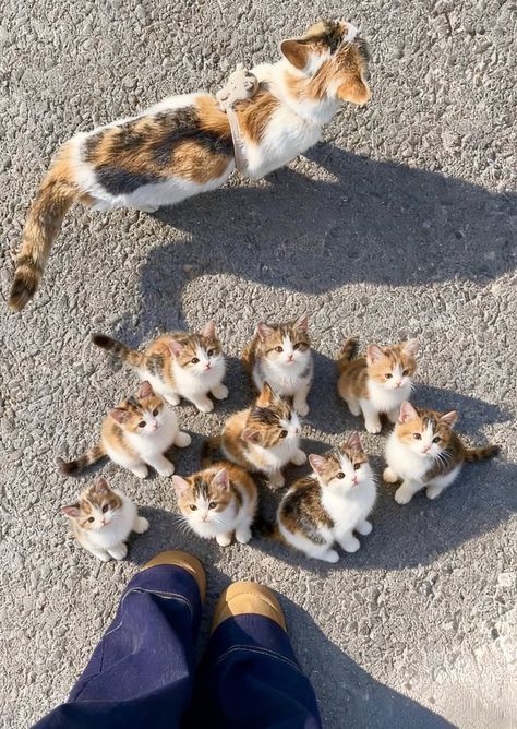 BẠN TRAI TƯỞNG TÔI GIẬN DỖI